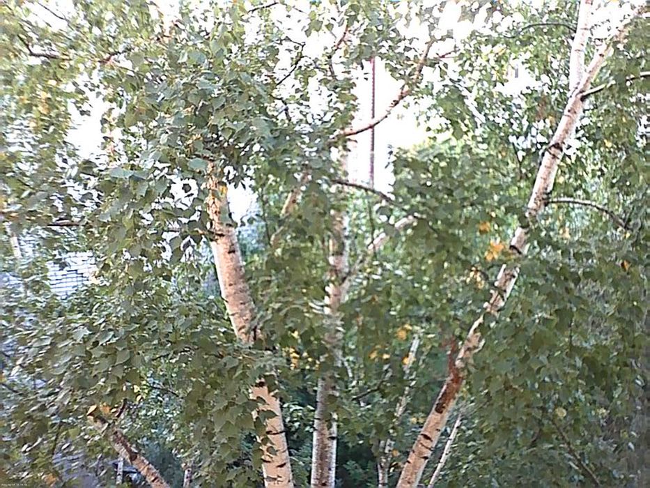 Детский цифровой фотоаппарат