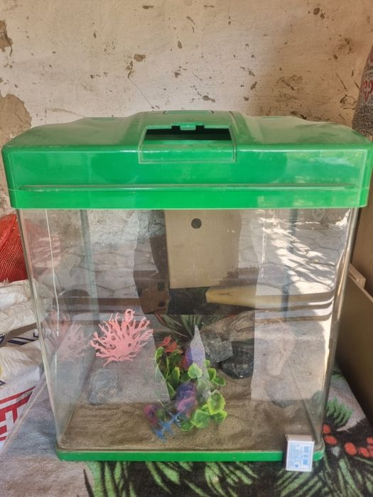 Аквариум с треском для тераримума