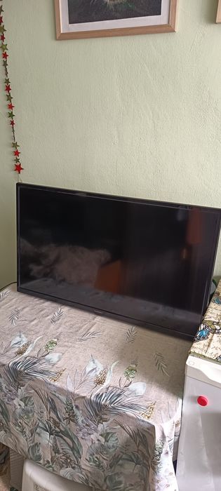 Vând plasma și aspirator ambele noi