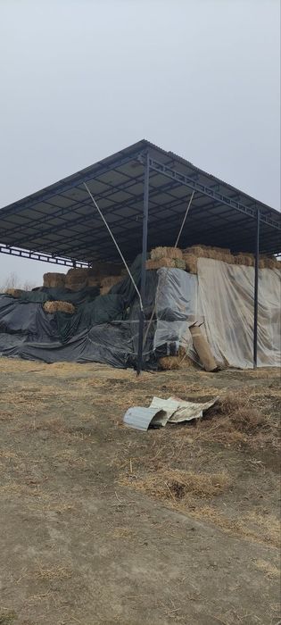 Tariq press sotiladi 25.000