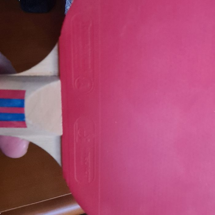 Хилки за тенис на маса TechnoPro 2 бр.