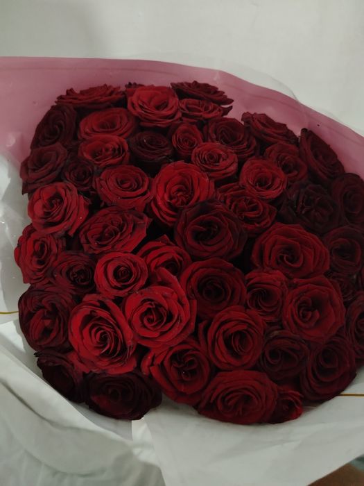 Роза 51 штук бүгін алынган