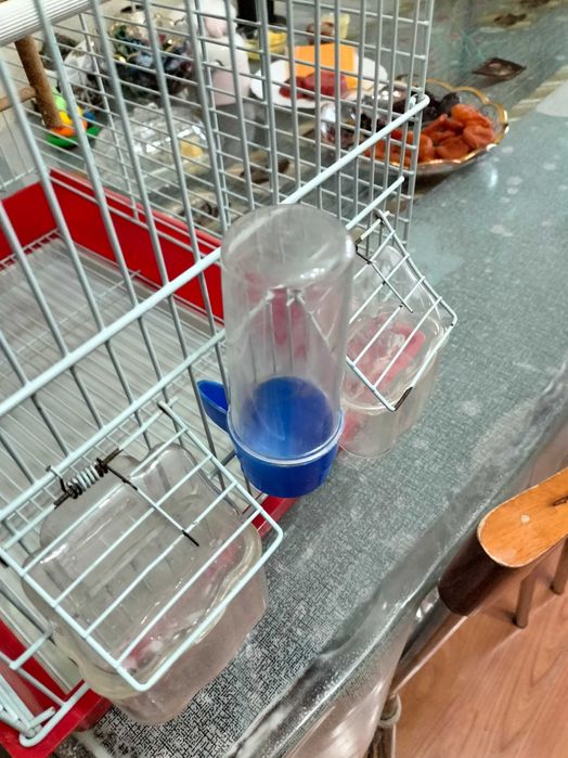 Продам клетку с аксессуарами для попугаев