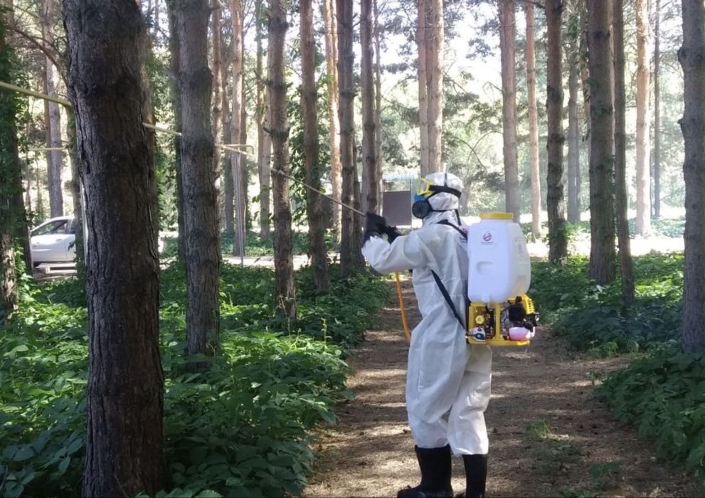 Дезинсекция ас Тараканы Клопы Крысы  Профессионально с гарантией