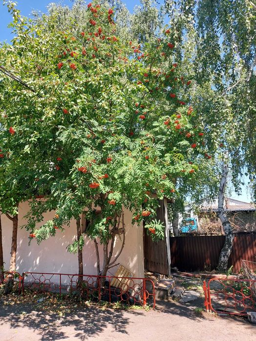 Продается отдельно стоящий дом