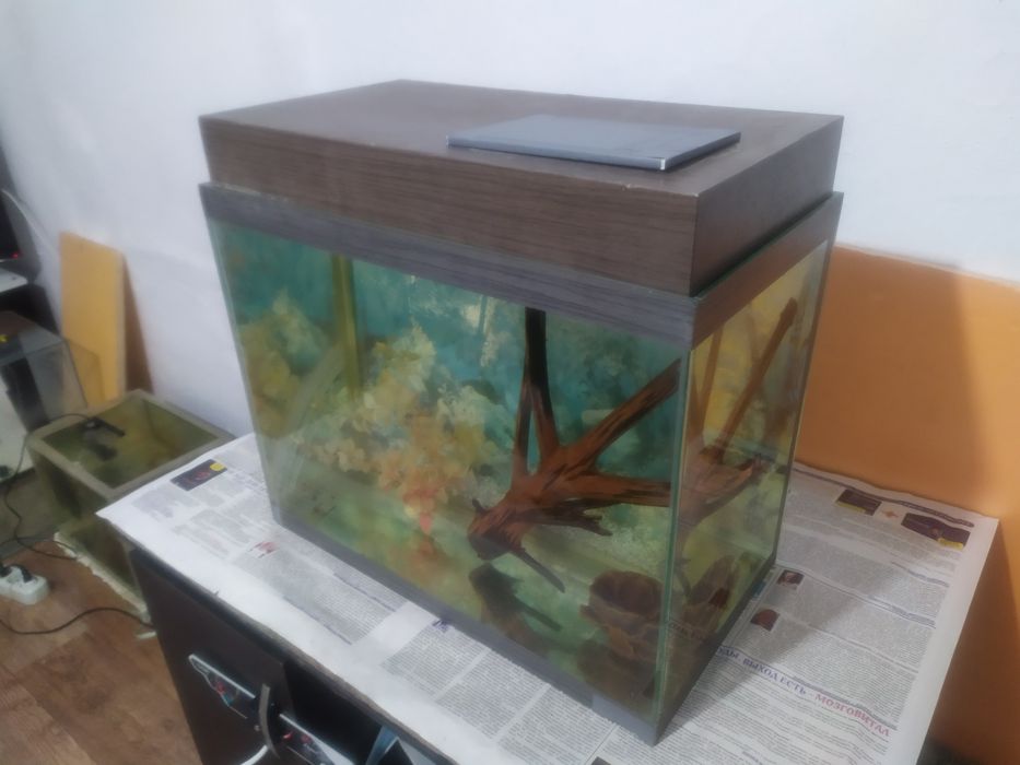 Аквариум 48л + бонусы и рыбки.