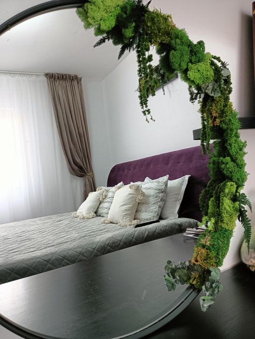 Lichenii stabilizați