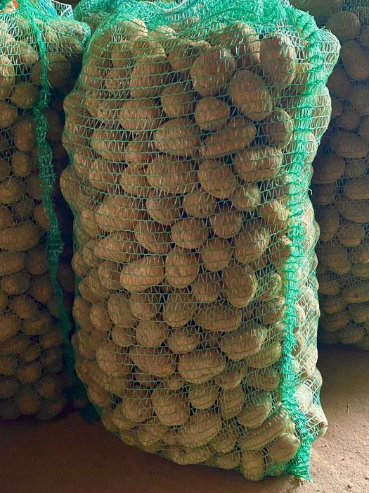 Cartofi pentru animale