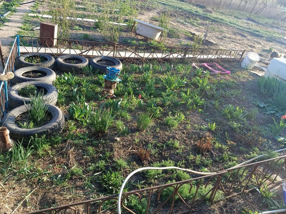 Продам дачный участок