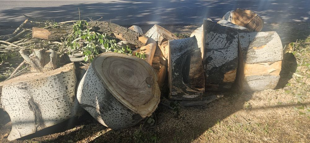 Дрова на продаже