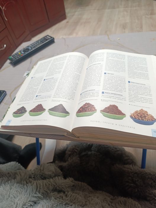 Книга о комнатных растениях