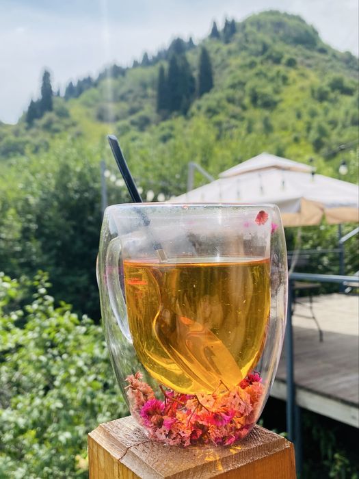 Домик в горах Алматы! Срочно!