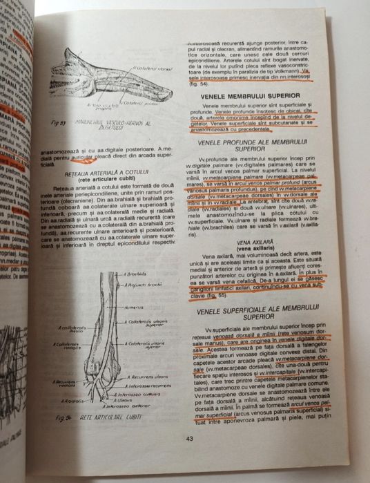 Carte medicina: Anatomia Omului (nr.2: Membrele )