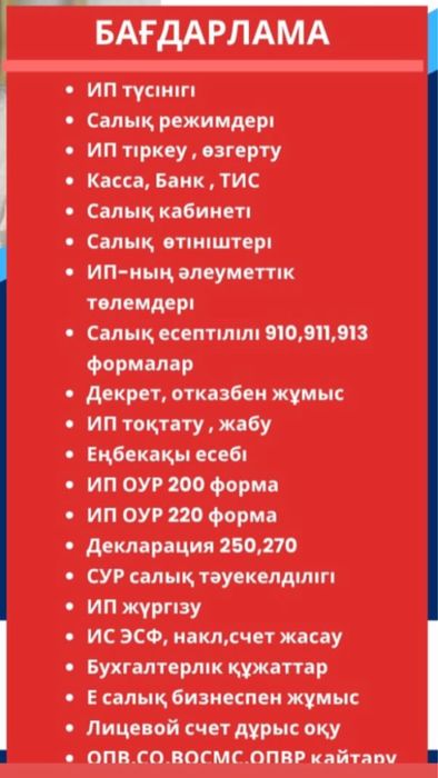 Бухгалтерлік көмек