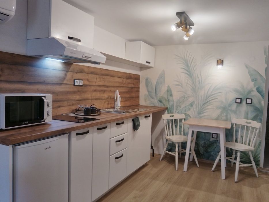 Дава се под наем Мезонет в Варна, м-т Евксиноград - 40 кв.м за 398.82 € - Снимка #7