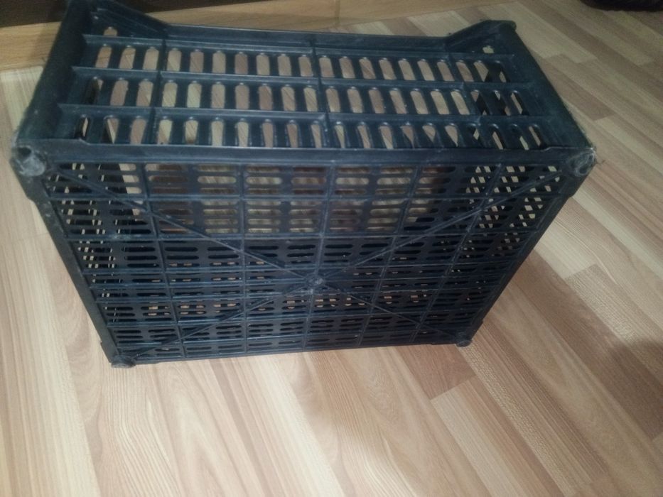 Plasmas yashi sotiladi