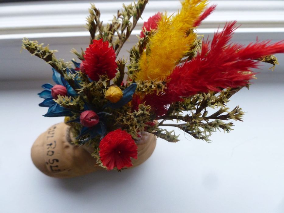 Aparat foto compact Panasonic lumix DMC FS 37