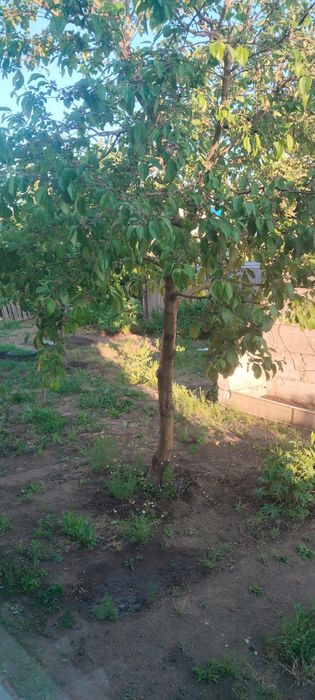 Срочно!!!Продам частный дом