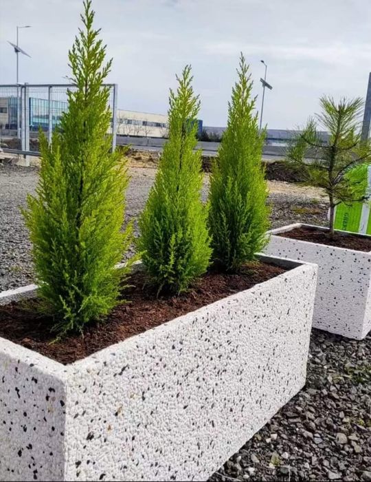 Jardiniere mozaic spălat