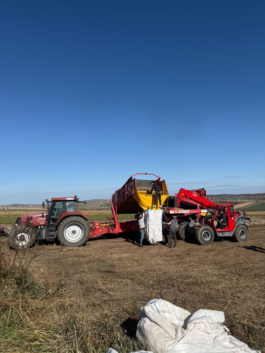 Combină Grimme 150/60 plantatoare cartofi freză