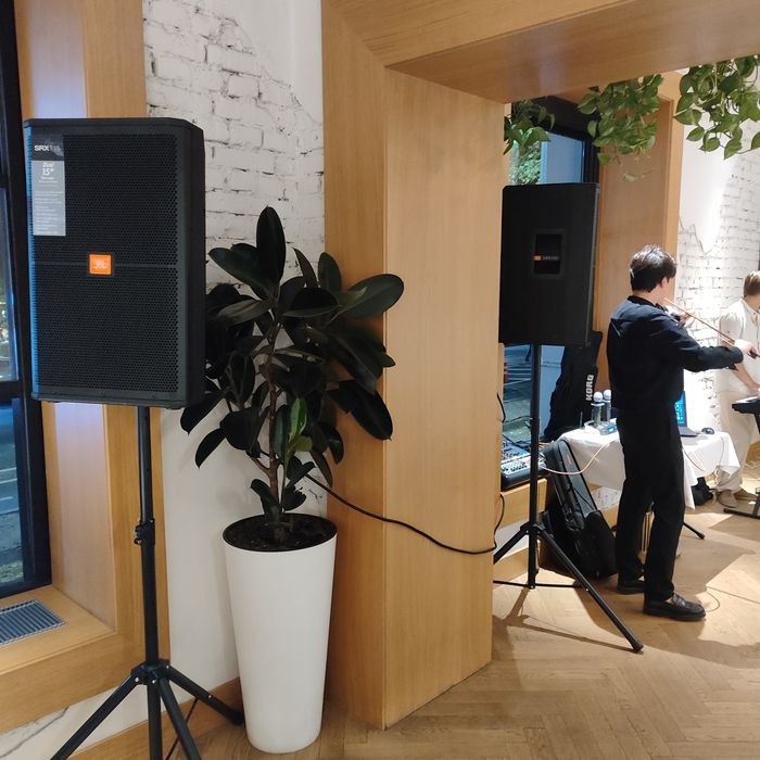 Аренда звука ( прокат колонок )