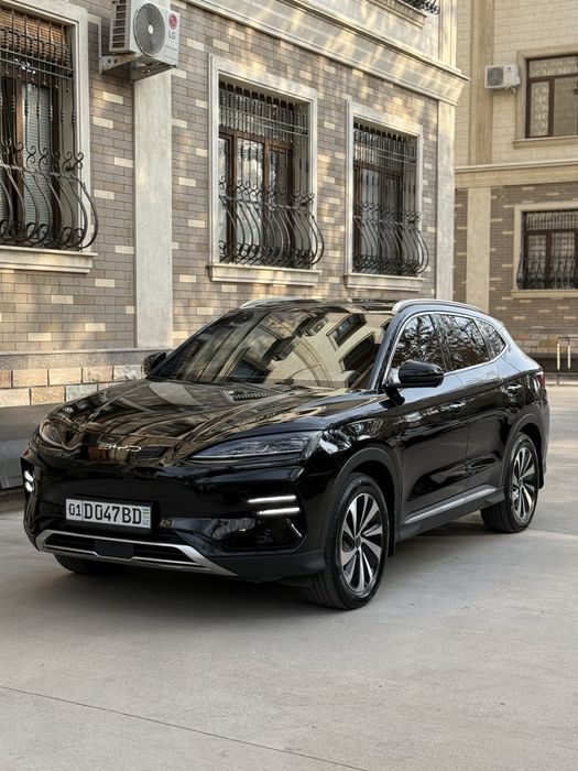 Byd champion 2024 Srochniy