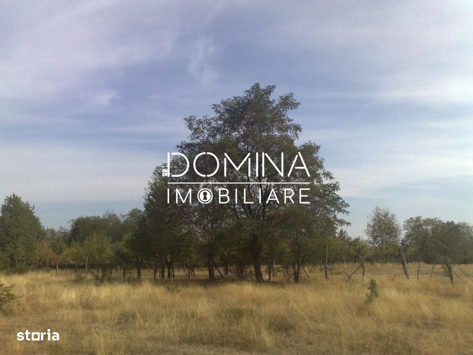 Vanzare teren intravilan 6843 mp, sat Polovragi