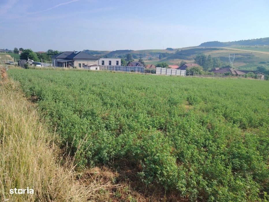 Teren Pentru Dezvoltare Imobiliara - 7.092 Mp - Corusu, Baciu