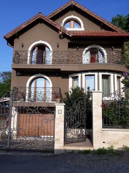 Ornamente decorative