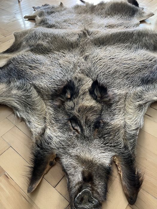 Кожа от Глиган Диво прасе