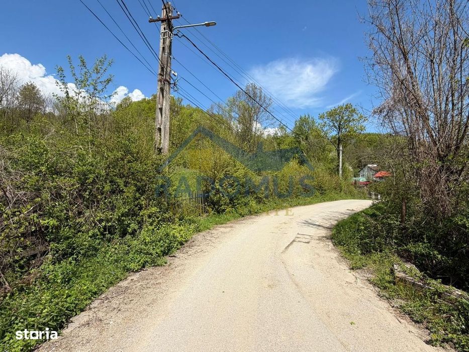 Teren Intravilan  – Provița de Jos | 1.939 mp | Curent electric