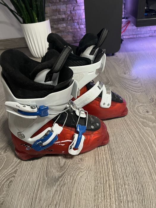 Clapari Nordica 21.5