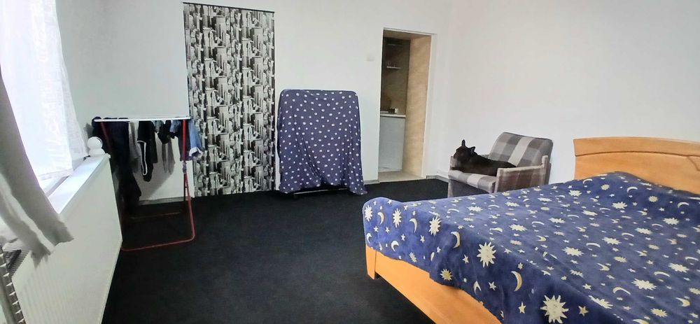 Sibiu Ultracentrala  2 nedecomandate 95000 euro