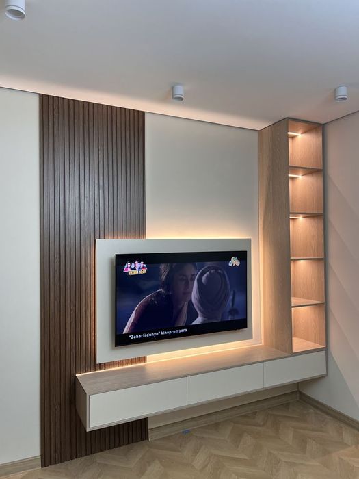 Zamonaviy uy uchun individual TV zona.