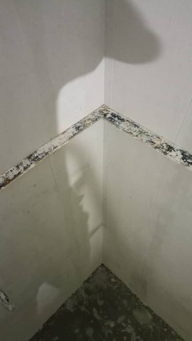 Shtukaturka xizmati Buxoro viloyatida va O'zbekiston bo'ylab