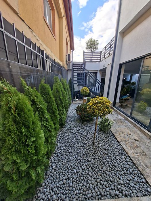 Amenajări grădini de la A la Z gazon si plante ornamentale