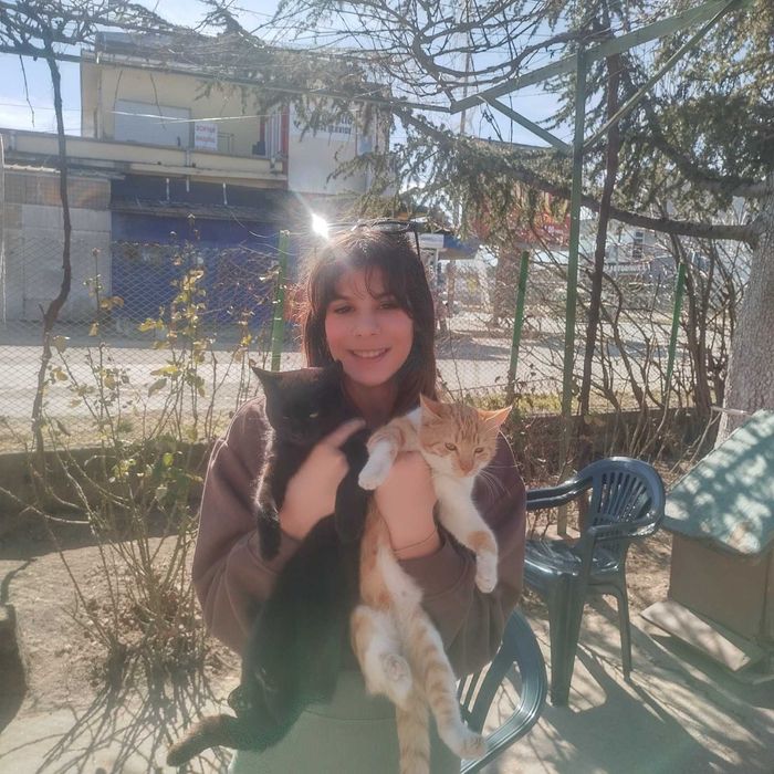 Хотел за кучета, котки, зайци, гризачи и птици