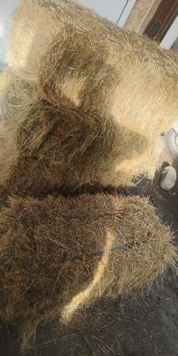 Продавам бали сено