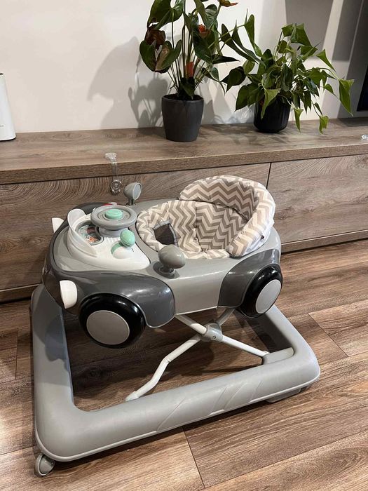 Проходилка- паяк