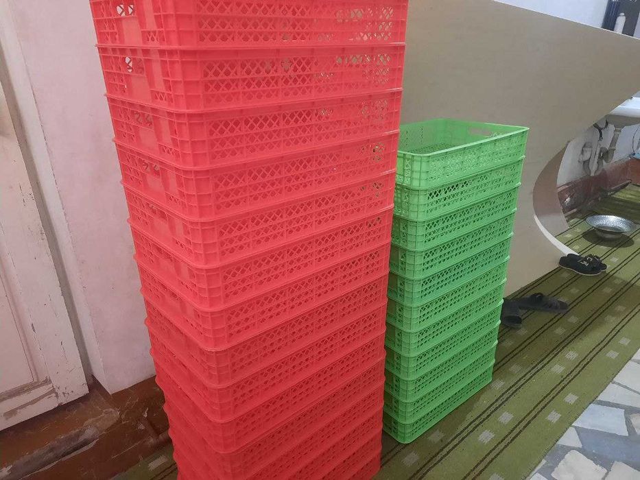 Лоток  с яшиком для инкубатора