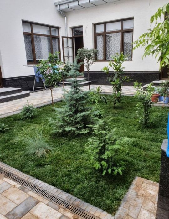 Gazon ekish tayyor ruloniviy.Urug'am bor 17000