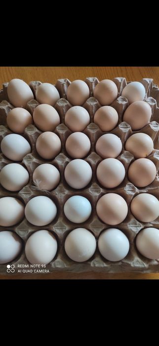 Яйцо фермерское... Доставка