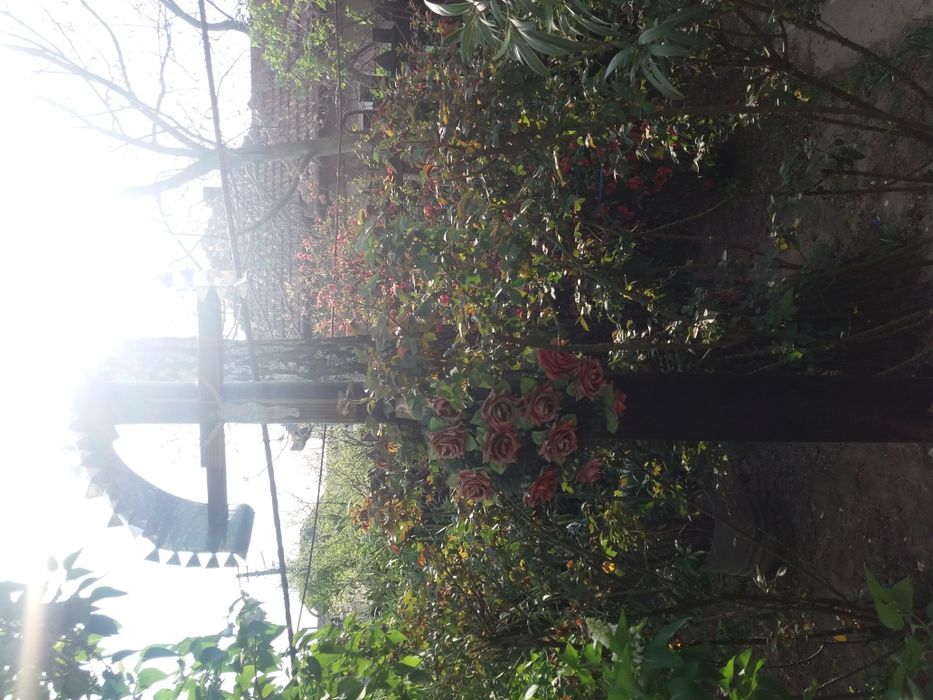 Cruce masiv fier 2.5 mm aprox