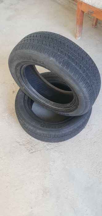 R15 balon Gopro Entro cs1