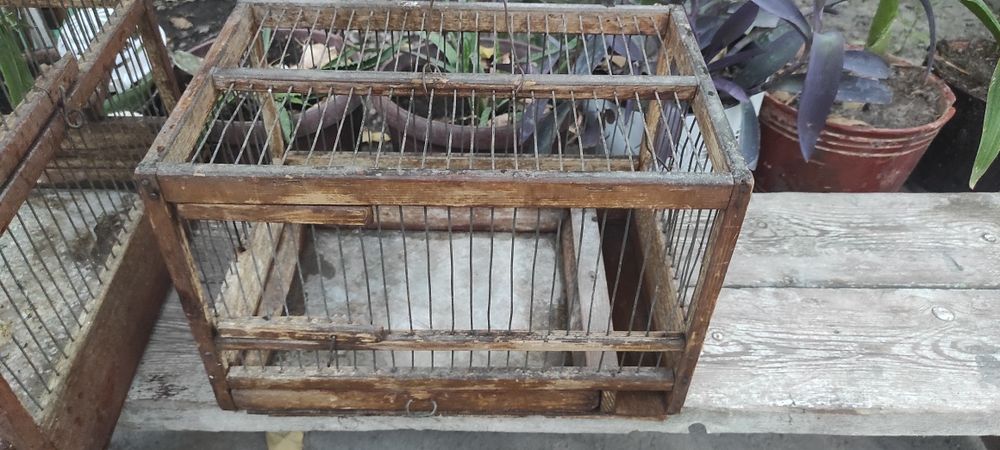 Клетка ,катаклар