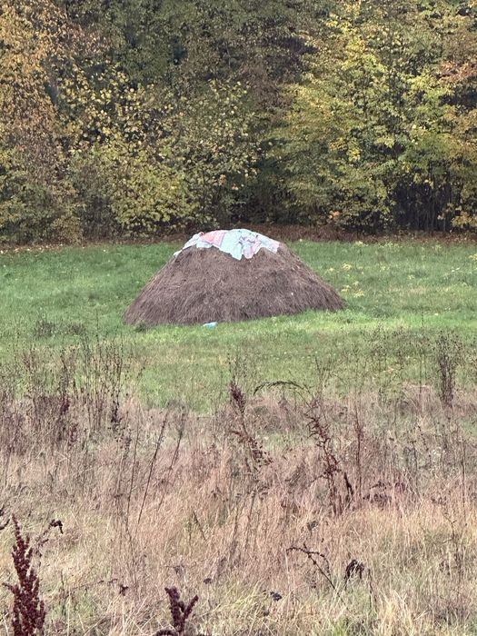 Fan de vanzare in cantitate mare cosir in 2025