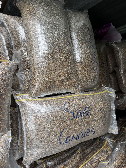 Hrana porumbei, catei, pisici