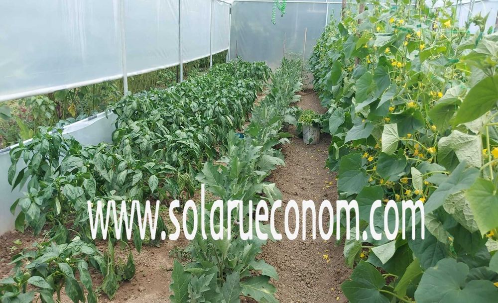 Solarii(sere) durabile și solide