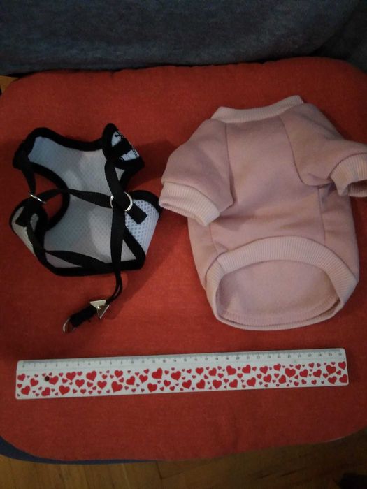 Дрешки и аксесоари за малко куче