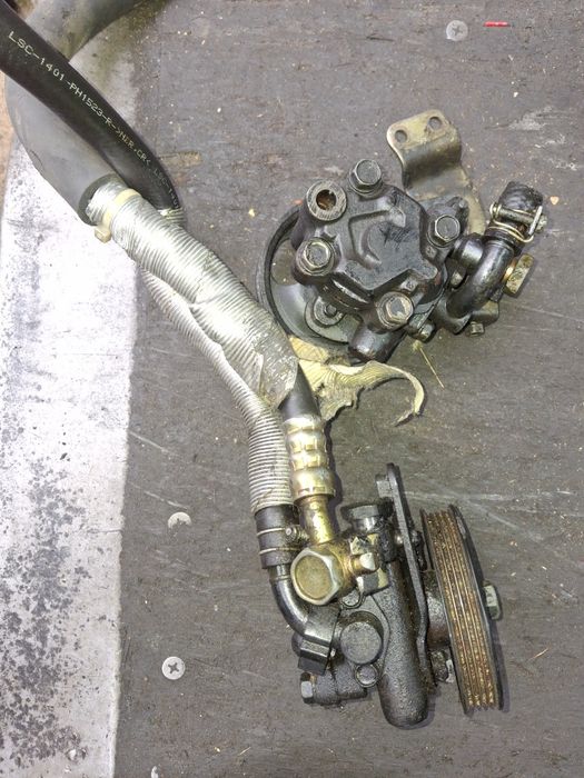 Гур цефира максима